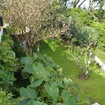 Privat bolig The Emigrant House By Pontanegraazores