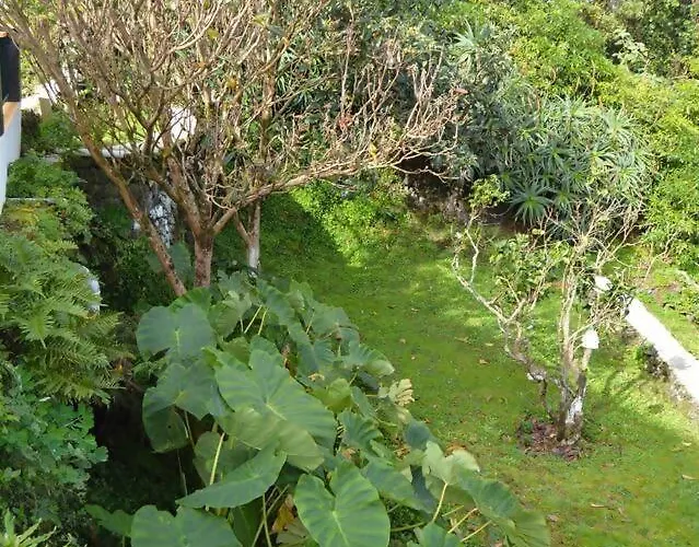 Accommodatie bij particulieren The Emigrant House By Pontanegraazores