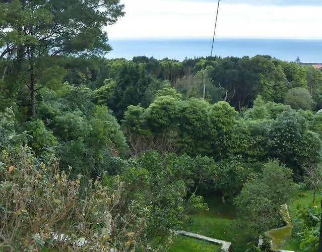 The Emigrant House By Pontanegraazores * Biscoitos (Terceira)