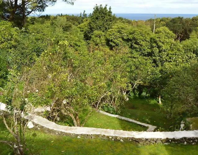 The Emigrant House By Pontanegraazores Accommodatie bij particulieren